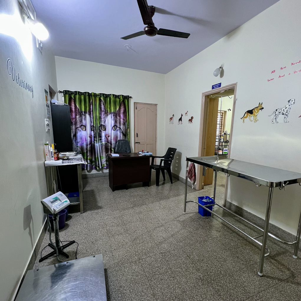 Bow Meow The Pet Point, BTM Layout Veterinary Clinic in BTM Layout, Bengaluru — Facility Photo 3