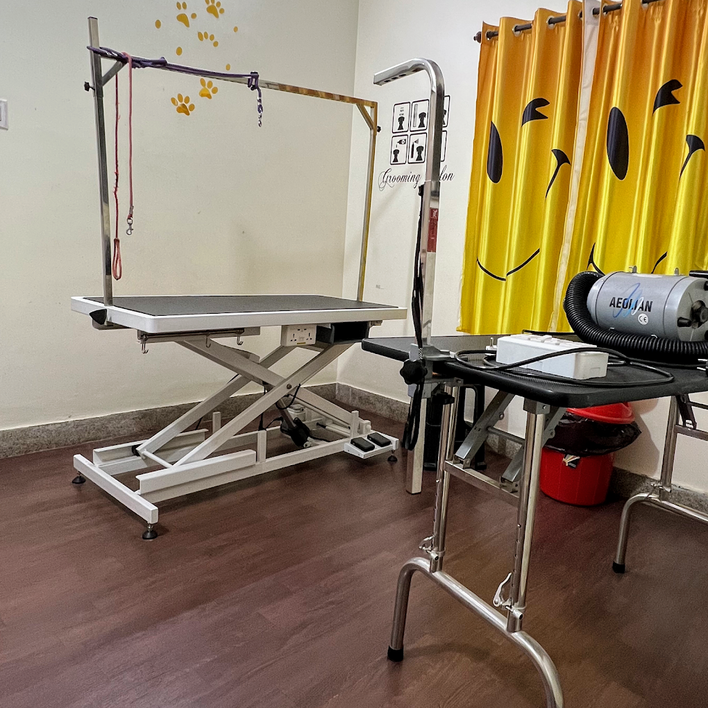 Bow Meow The Pet Point, BTM Layout Veterinary Clinic in BTM Layout, Bengaluru — Facility Photo 2