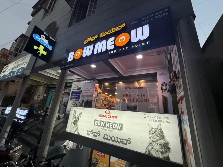 Bow Meow The Pet Point, BTM Layout - Pet Clinic in BTM Layout, Bengaluru