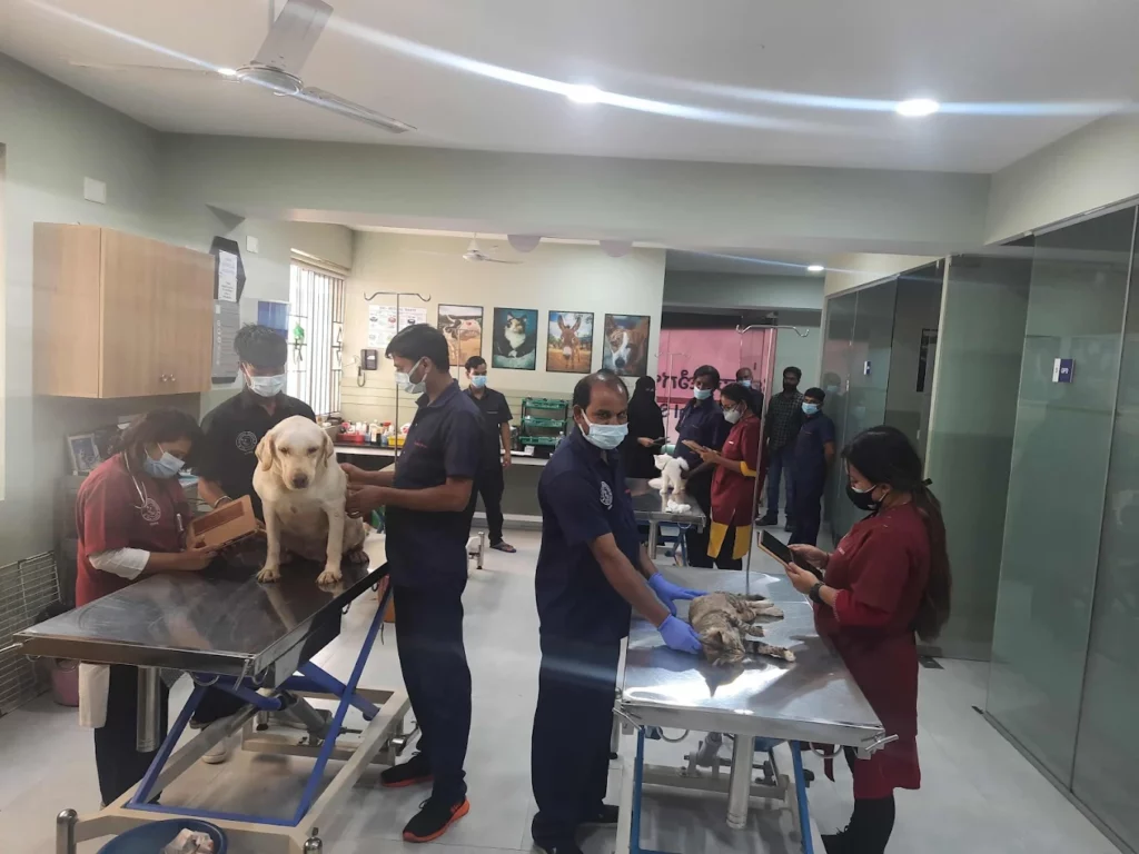 CUPA Small Animal Specialty Hospital Veterinary Clinic in RT Nagar, Bengaluru — Facility Photo 9