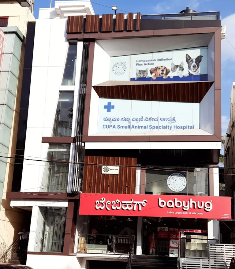 CUPA Small Animal Specialty Hospital - Pet Clinic in RT Nagar, Bengaluru