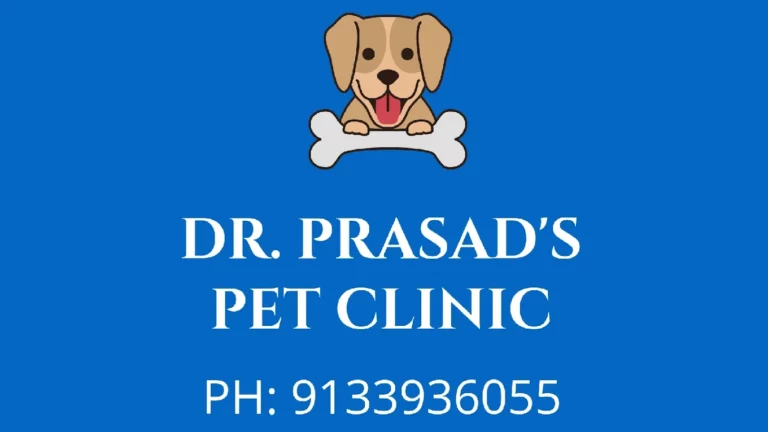 Dr Prasad's Pet Clinic - Pet Clinic in Doddanekundi, Bengaluru