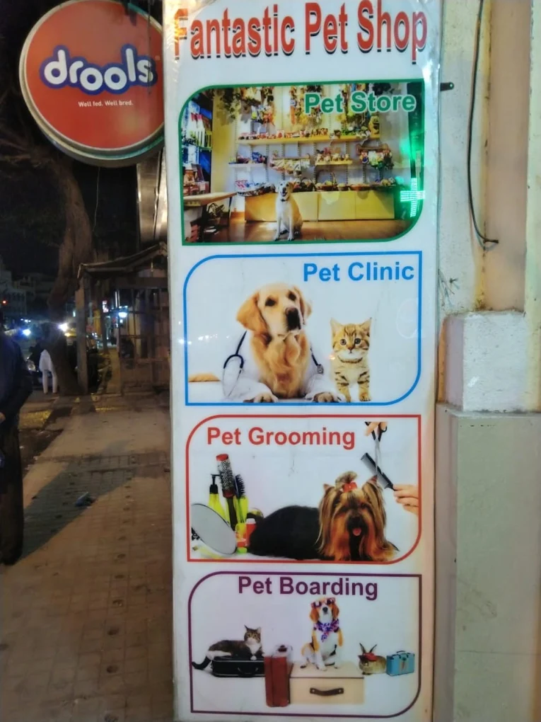 Fantastic Pet Shop, Grooming & Clinic Veterinary Clinic in Frazer Town, Bengaluru — Facility Photo 2