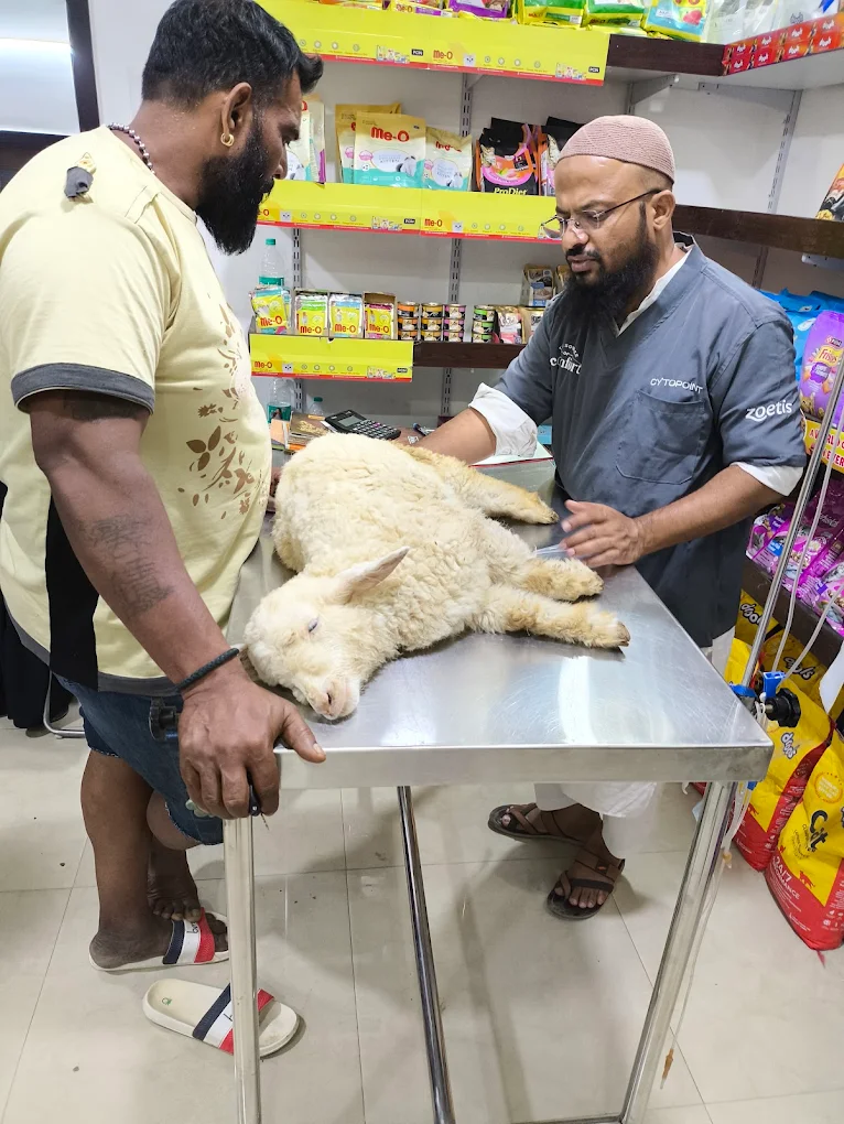 Fauna Veterinary Care Veterinary Clinic in Frazer Town, Bengaluru — Facility Photo 2