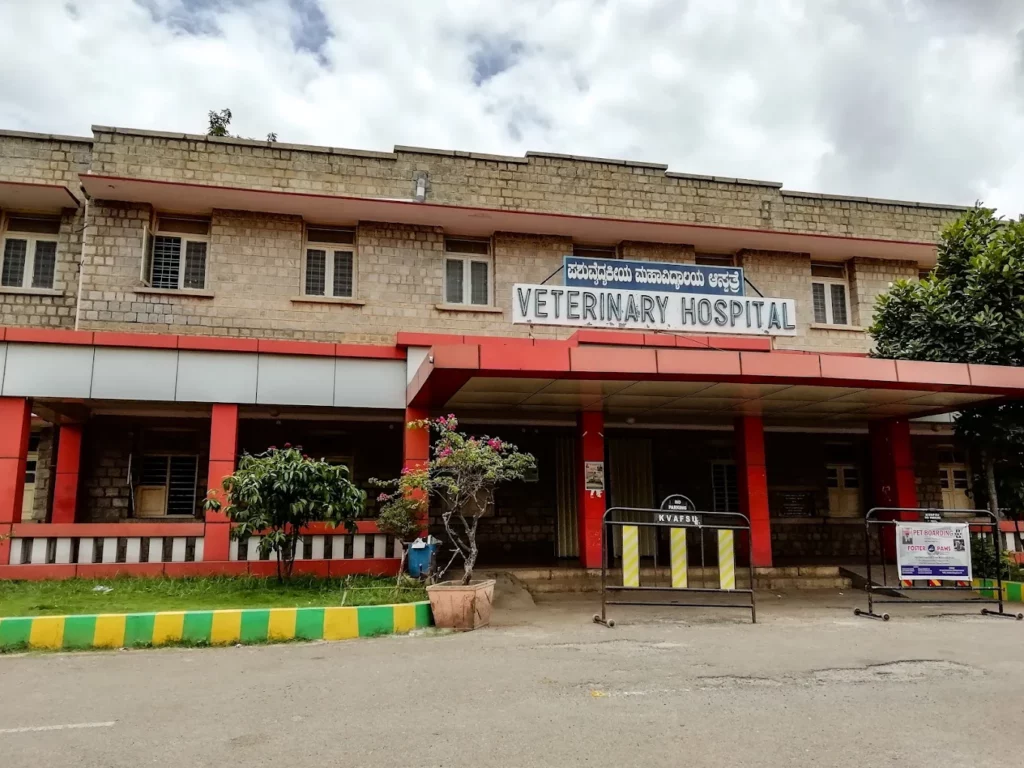 Government Veterinary Hospital, Sanjayanagara Veterinary Clinic in Sanjayanagara, Bengaluru — Entrance/Facility Photo