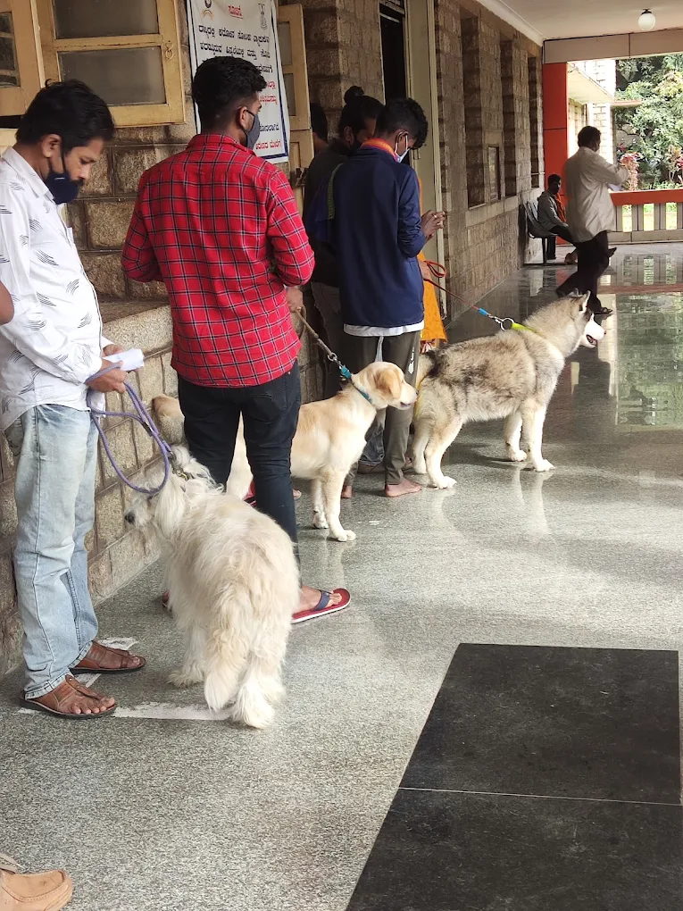 Government Veterinary Hospital, Sanjayanagara Veterinary Clinic in Sanjayanagara, Bengaluru — Facility Photo 6