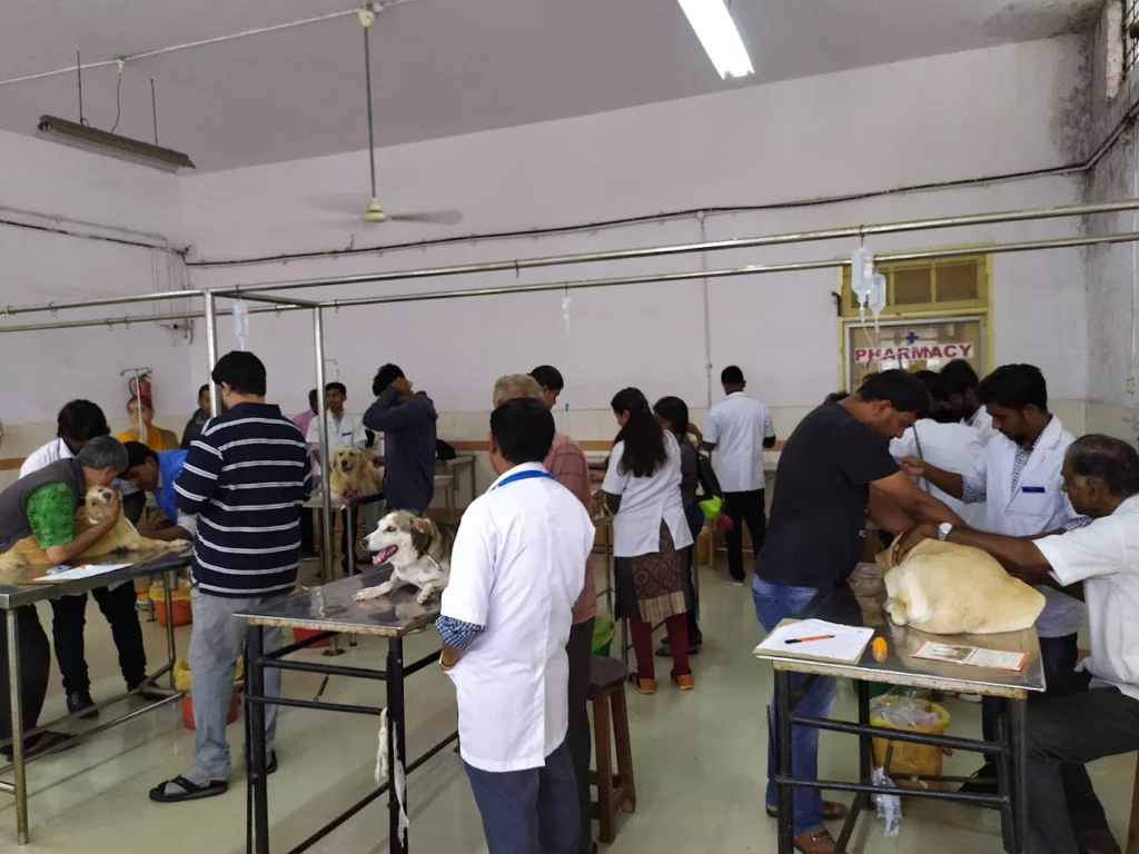 Government Veterinary Hospital, Sanjayanagara Veterinary Clinic in Sanjayanagara, Bengaluru — Facility Photo 4