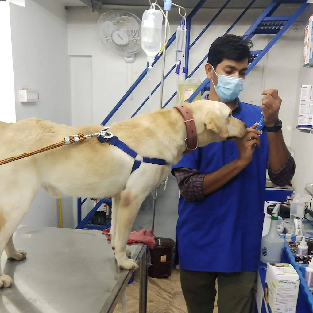 Harinika Pet Clinic & Products Veterinary Clinic in Frazer Town, Bengaluru — Facility Photo 6