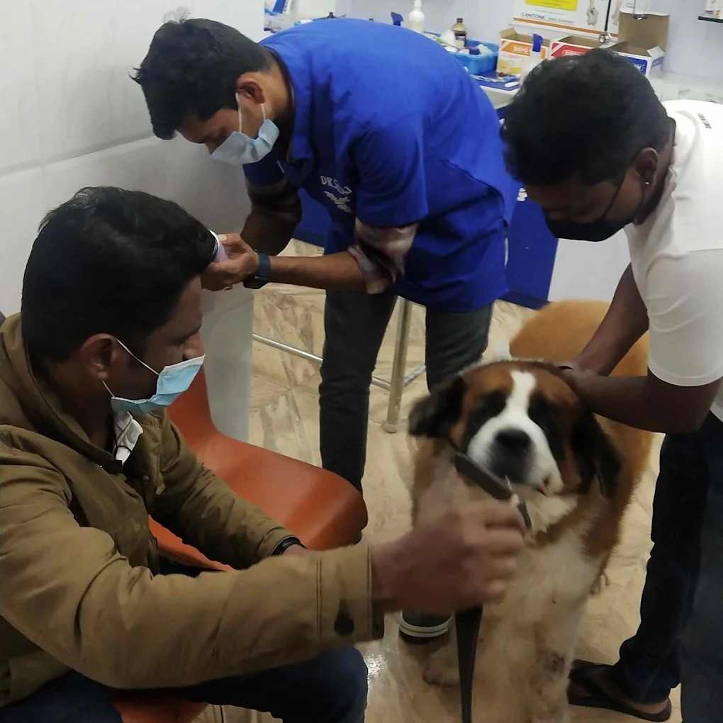 Harinika Pet Clinic & Products Veterinary Clinic in Frazer Town, Bengaluru — Facility Photo 5