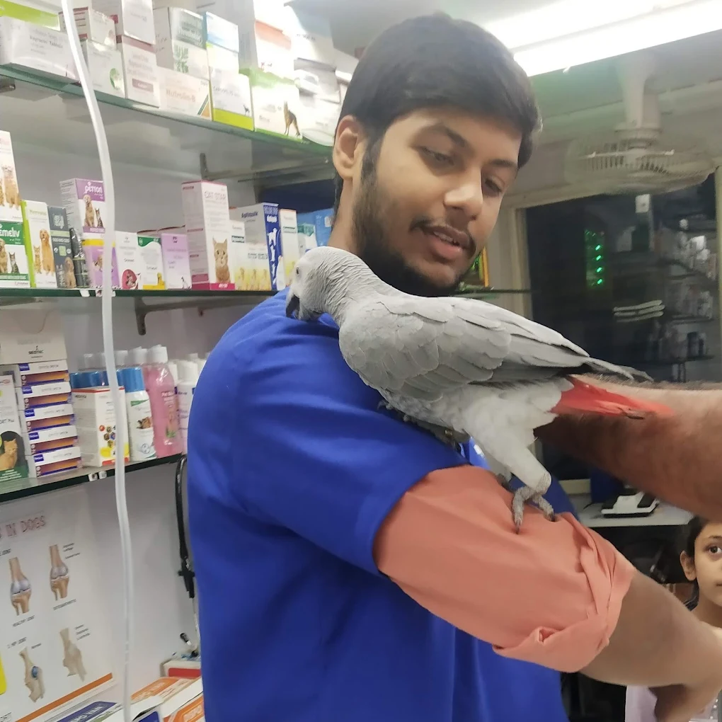 Harinika Pet Clinic & Products Veterinary Clinic in Frazer Town, Bengaluru — Facility Photo 4