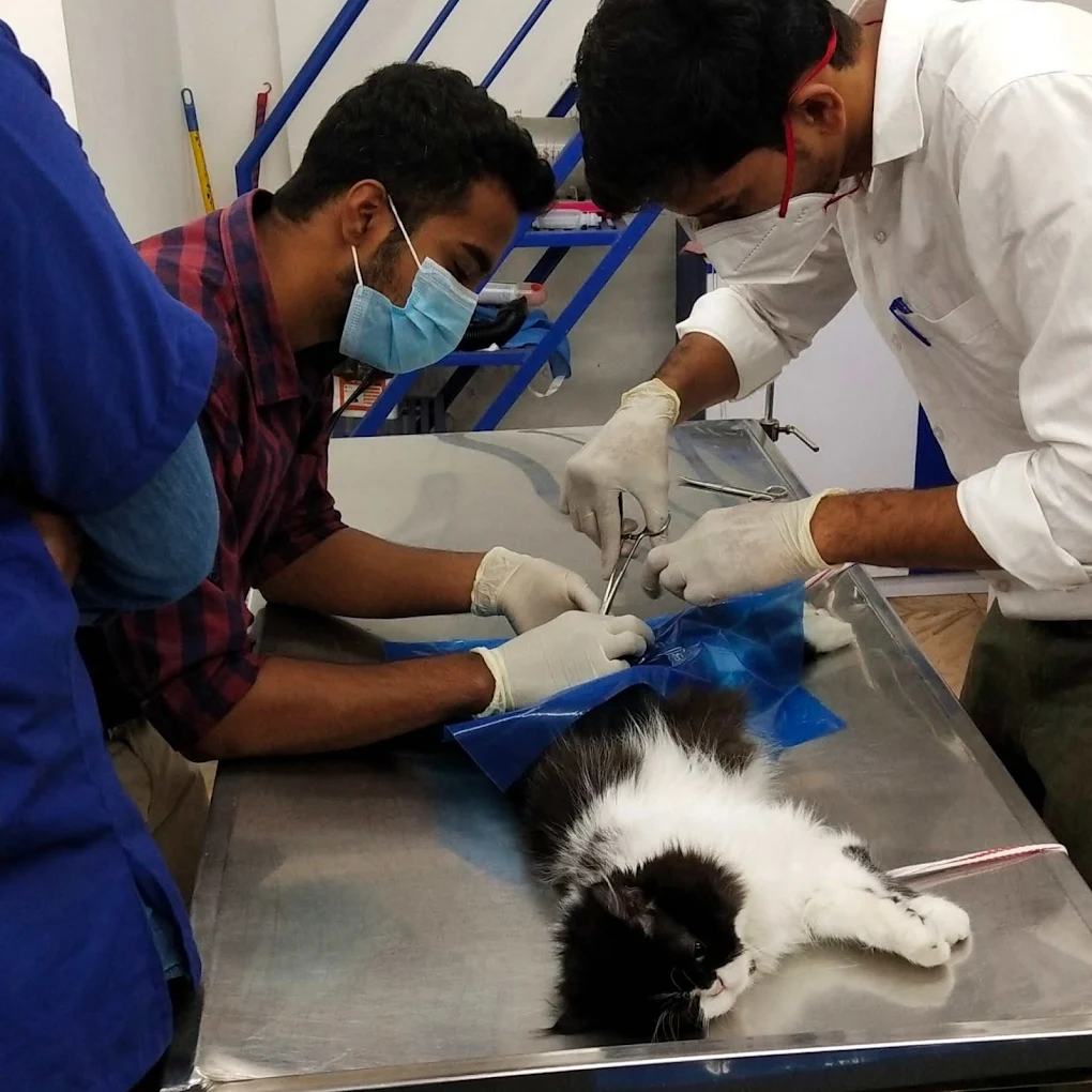 Harinika Pet Clinic & Products Veterinary Clinic in Frazer Town, Bengaluru — Facility Photo 2