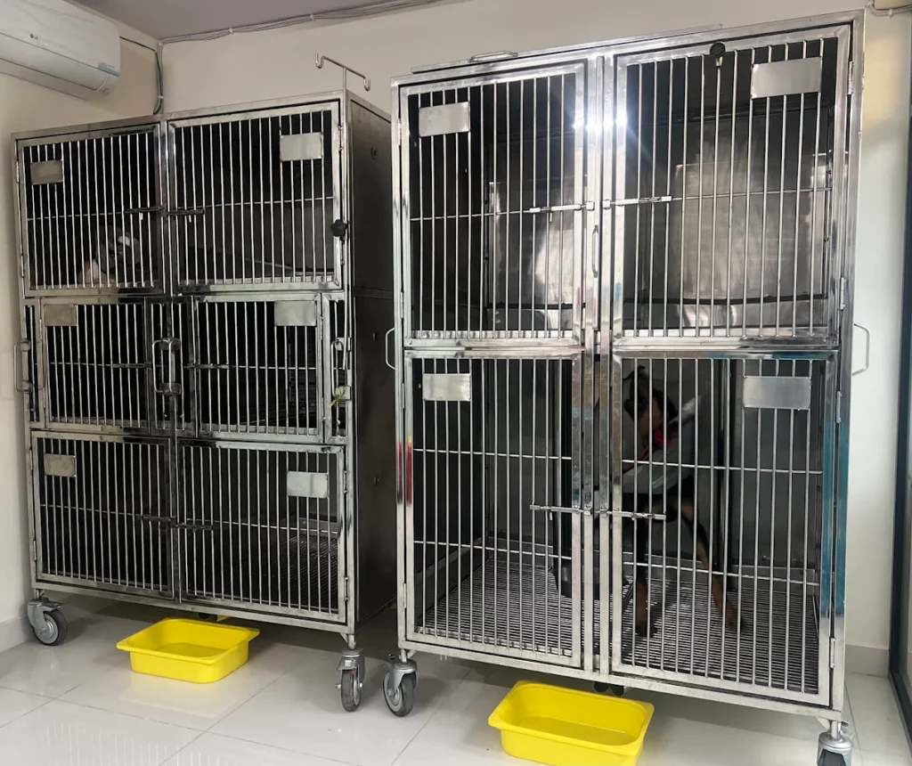 Healthy Pawz Pets Veterinary Hospital 24/7 Veterinary Clinic in BTM Layout, Bengaluru — Facility Photo 10