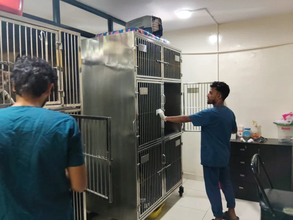 Healthy Pawz Pets Veterinary Hospital 24/7 Veterinary Clinic in BTM Layout, Bengaluru — Facility Photo 5