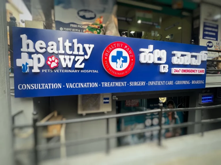 Healthy Pawz Pets Veterinary Hospital 24/7 - Pet Clinic in BTM Layout, Bengaluru