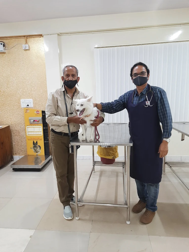 Indira Pet Clinic 24/7 Veterinary Clinic in Indiranagar, Bengaluru — Facility Photo 8