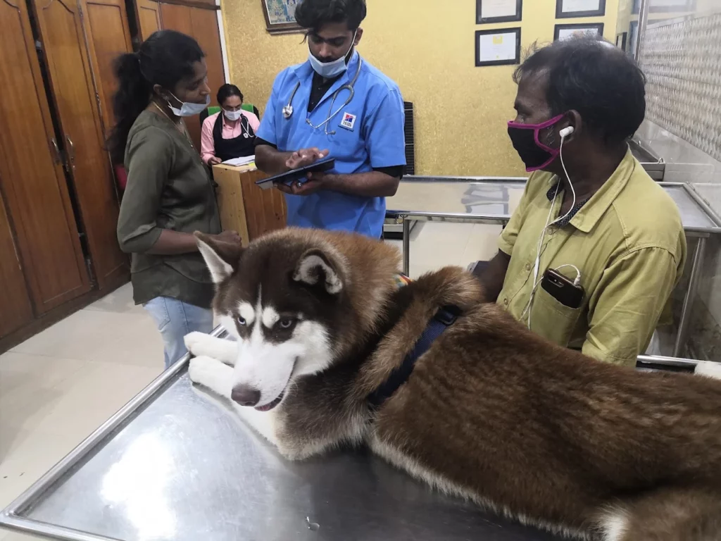 Indira Pet Clinic 24/7 Veterinary Clinic in Indiranagar, Bengaluru — Facility Photo 7