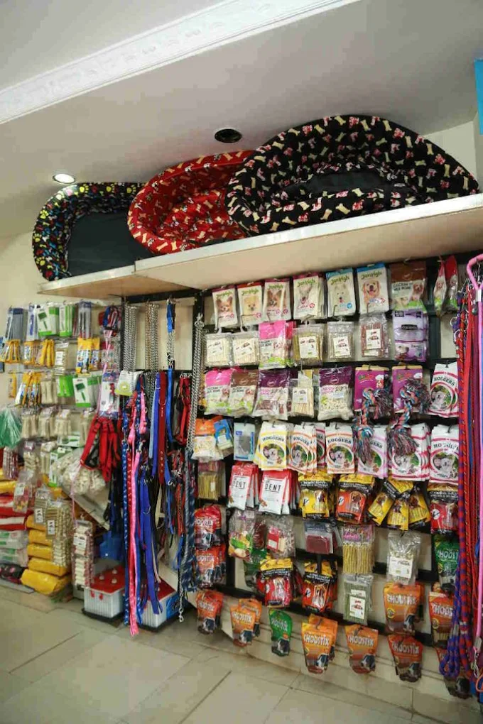 Indira Pet Clinic 24/7 Veterinary Clinic in Indiranagar, Bengaluru — Facility Photo 5