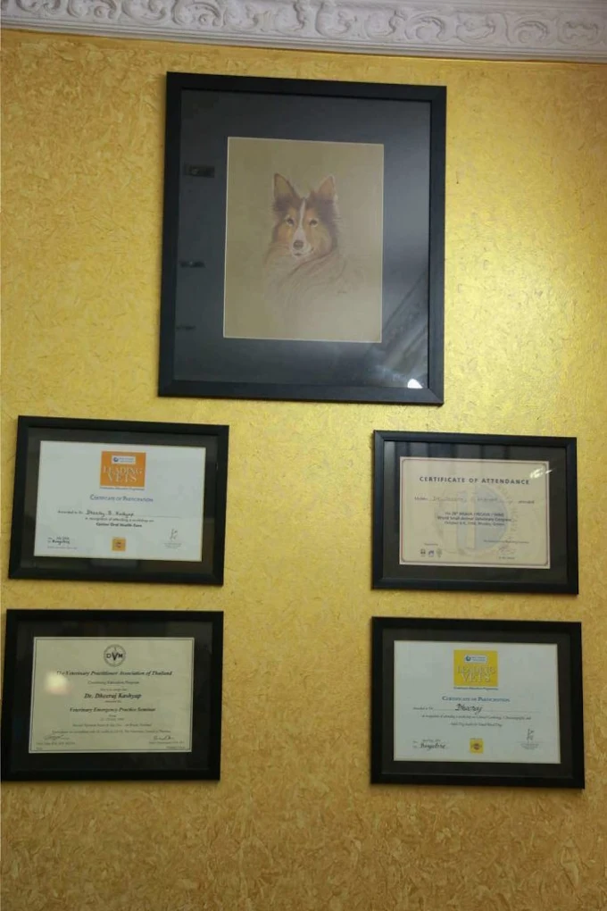 Indira Pet Clinic 24/7 Veterinary Clinic in Indiranagar, Bengaluru — Facility Photo 4