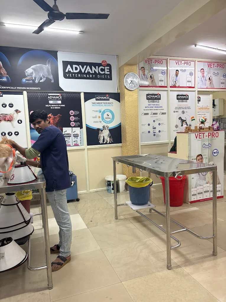 Indira Pet Clinic 24/7 Veterinary Clinic in Indiranagar, Bengaluru — Facility Photo 3