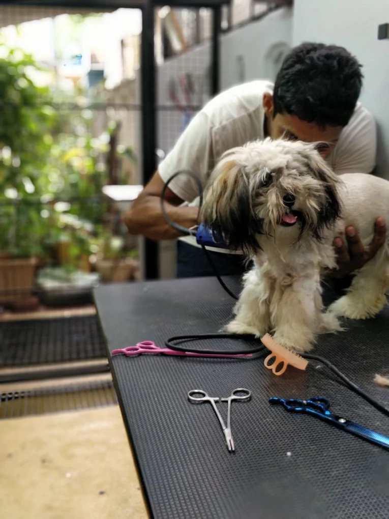 K9 Vet Clinic and Grooming (Dr.KV. Venugopal) Veterinary Clinic in Ganga Nagar Extension, Bengaluru — Facility Photo 3