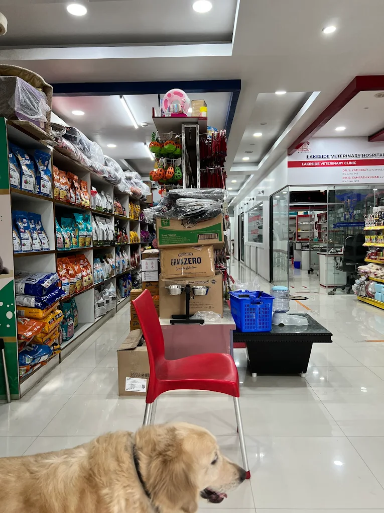 Lakeside Veterinary Hospital & Research Centre Veterinary Clinic in Basavanagudi, Bengaluru — Facility Photo 3