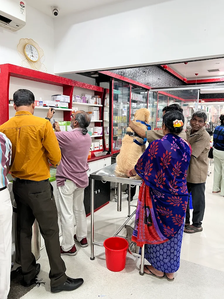 Lakeside Veterinary Hospital & Research Centre Veterinary Clinic in Basavanagudi, Bengaluru — Facility Photo 2