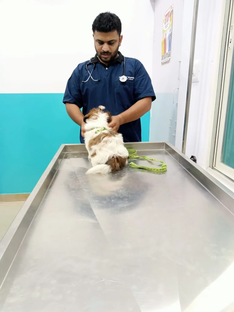Niya Pet Hospital Veterinary Clinic in Nandini Layout, Bengaluru — Facility Photo 7