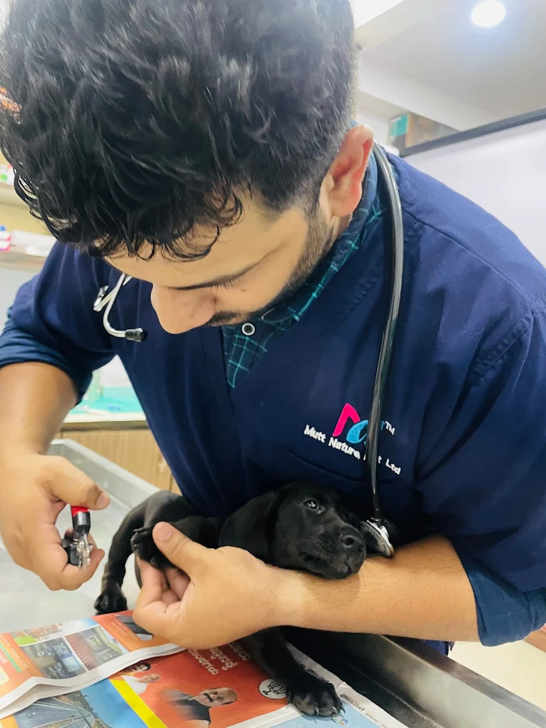 Niya Pet Hospital Veterinary Clinic in Nandini Layout, Bengaluru — Facility Photo 2