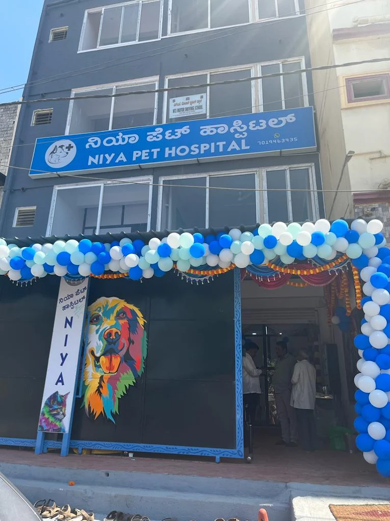 Niya Pet Hospital - Pet Clinic in Nandini Layout, Bengaluru