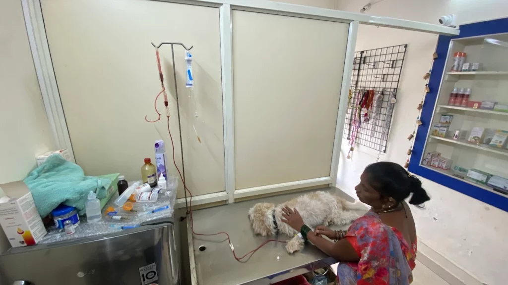 Noble Pet Care Veterinary Clinic in Chamrajpet, Bengaluru — Facility Photo 3