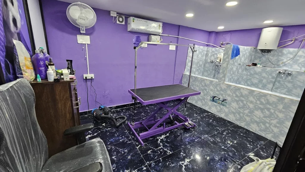 Pets & Hugs Pet Grooming and Clinic Veterinary Clinic in Seshadripuram, Bengaluru — Facility Photo 2