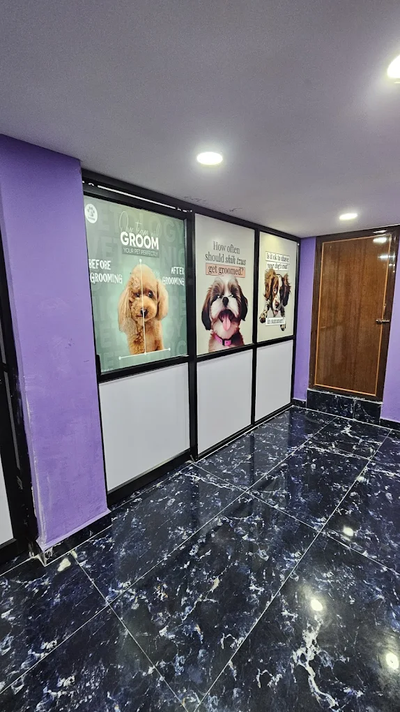 Pets & Hugs Pet Grooming and Clinic Veterinary Clinic in Seshadripuram, Bengaluru — Facility Photo 6
