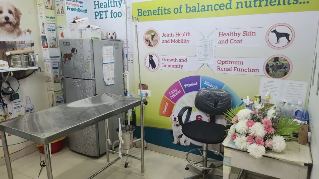 Pawrentz Vet Care Veterinary Clinic in Jayamahal, Bengaluru — Facility Photo 7