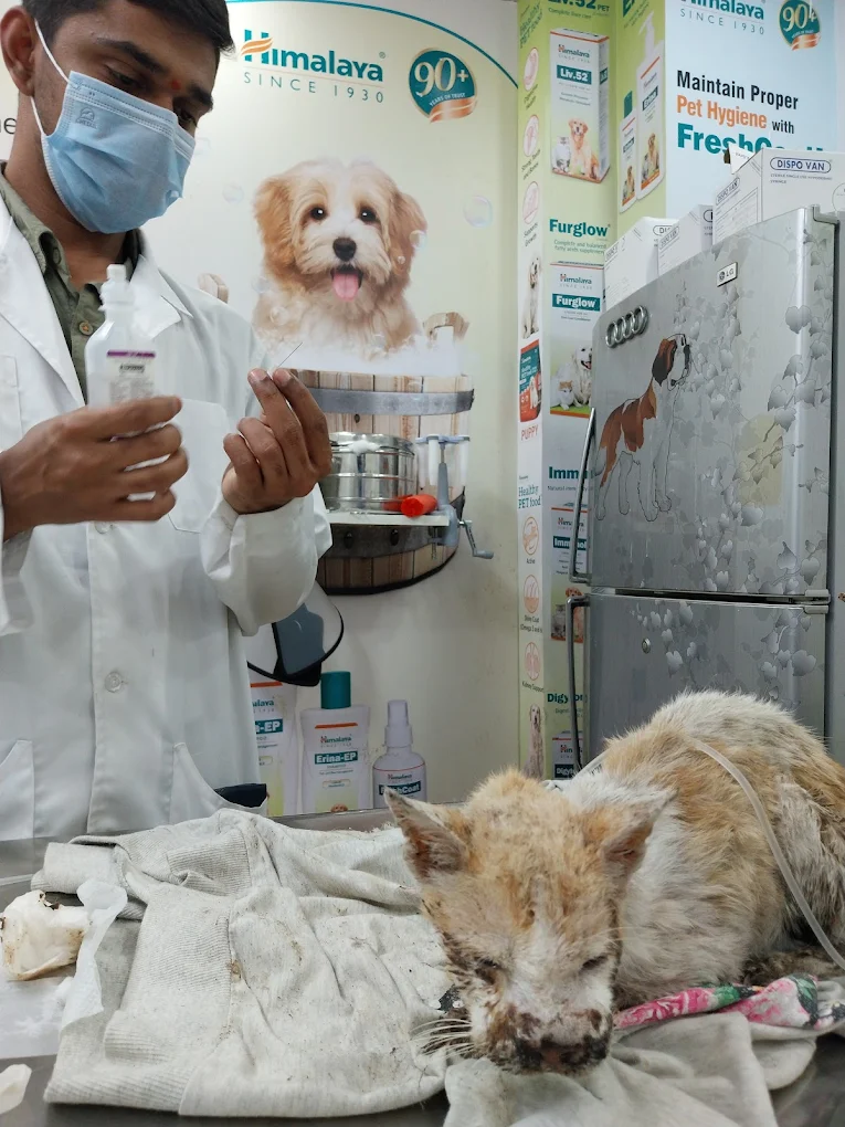 Pawrentz Vet Care Veterinary Clinic in Jayamahal, Bengaluru — Facility Photo 6