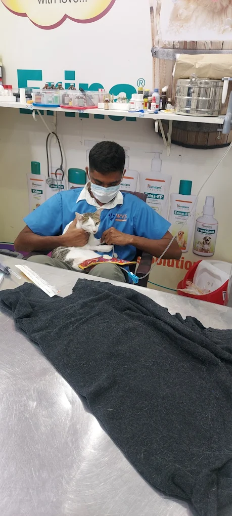 Pawrentz Vet Care Veterinary Clinic in Jayamahal, Bengaluru — Facility Photo 5