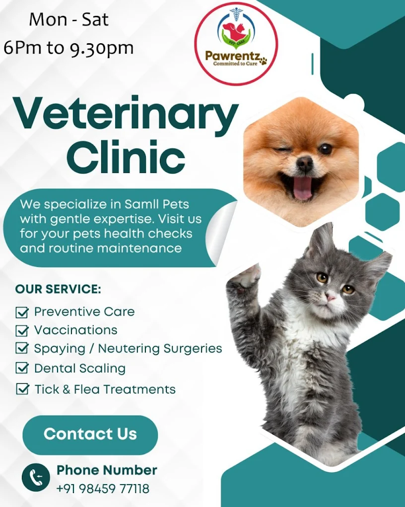 Pawrentz Vet Care Veterinary Clinic in Jayamahal, Bengaluru — Facility Photo 3