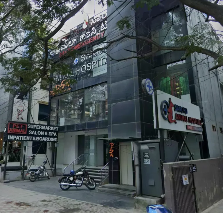 Sanchu Animal Hospital, Koramangala - Pet Clinic in Koramangala, Bengaluru
