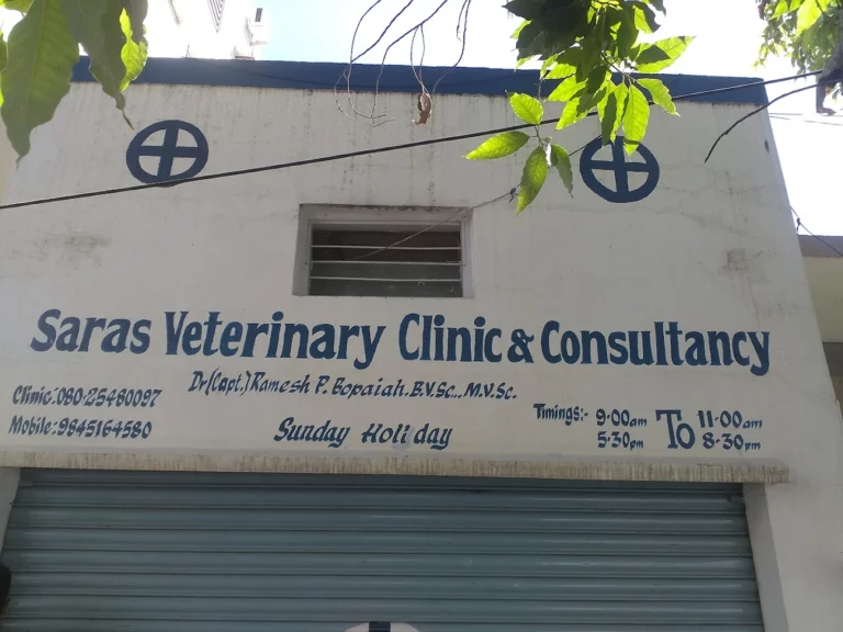 Saras Veterinary Clinic - Pet Clinic in Maruthi Sevanagar, Bengaluru