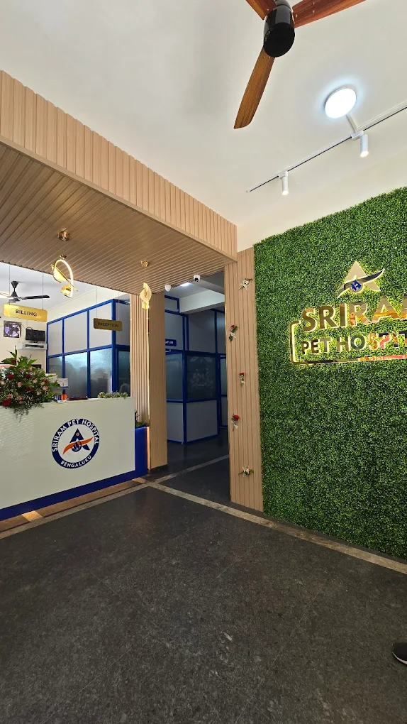 Sriram Pet Hospital Veterinary Clinic in Kaval Bairasandra, Bengaluru — Facility Photo 6