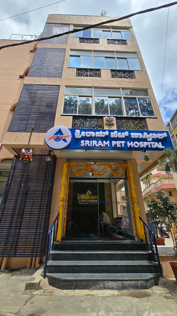 Sriram Pet Hospital - Pet Clinic in Kaval Bairasandra, Bengaluru