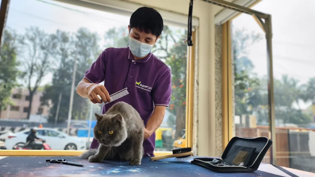 Supertails Koramangala Pet Clinic & Grooming Centre Veterinary Clinic in Koramangala, Bengaluru — Facility Photo 8