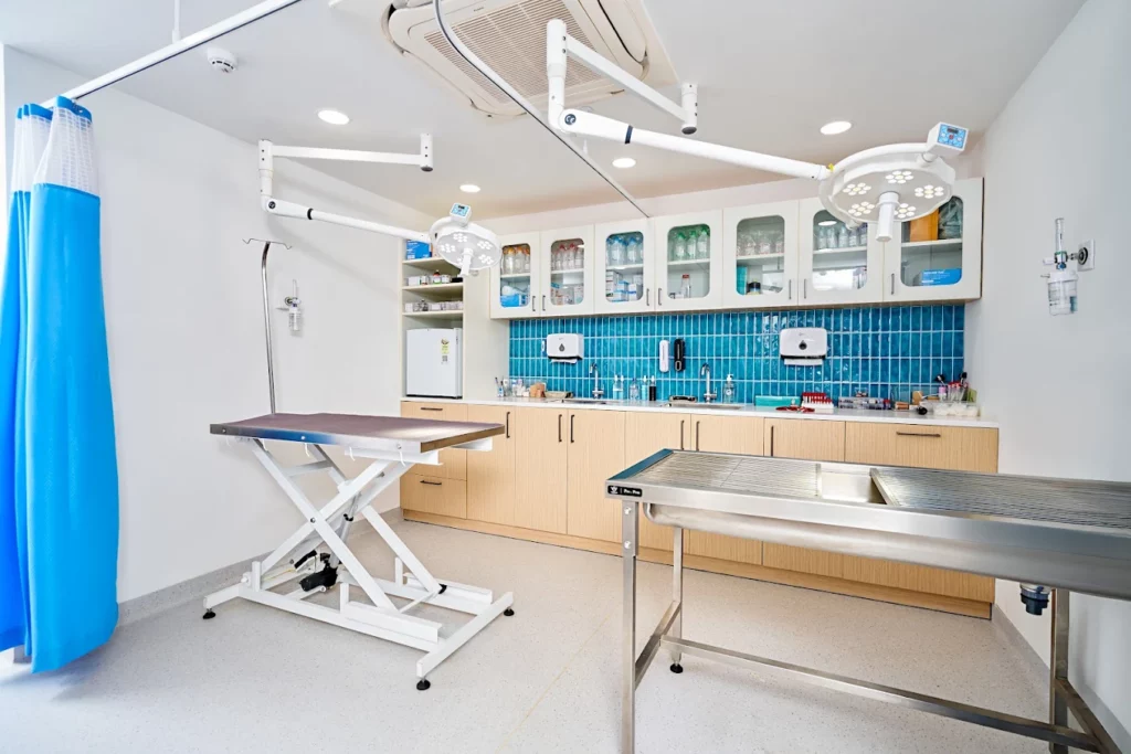 Supertails Koramangala Pet Clinic & Grooming Centre Veterinary Clinic in Koramangala, Bengaluru — Facility Photo 4