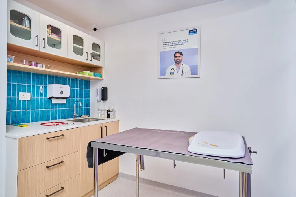 Supertails Koramangala Pet Clinic & Grooming Centre Veterinary Clinic in Koramangala, Bengaluru — Facility Photo 3