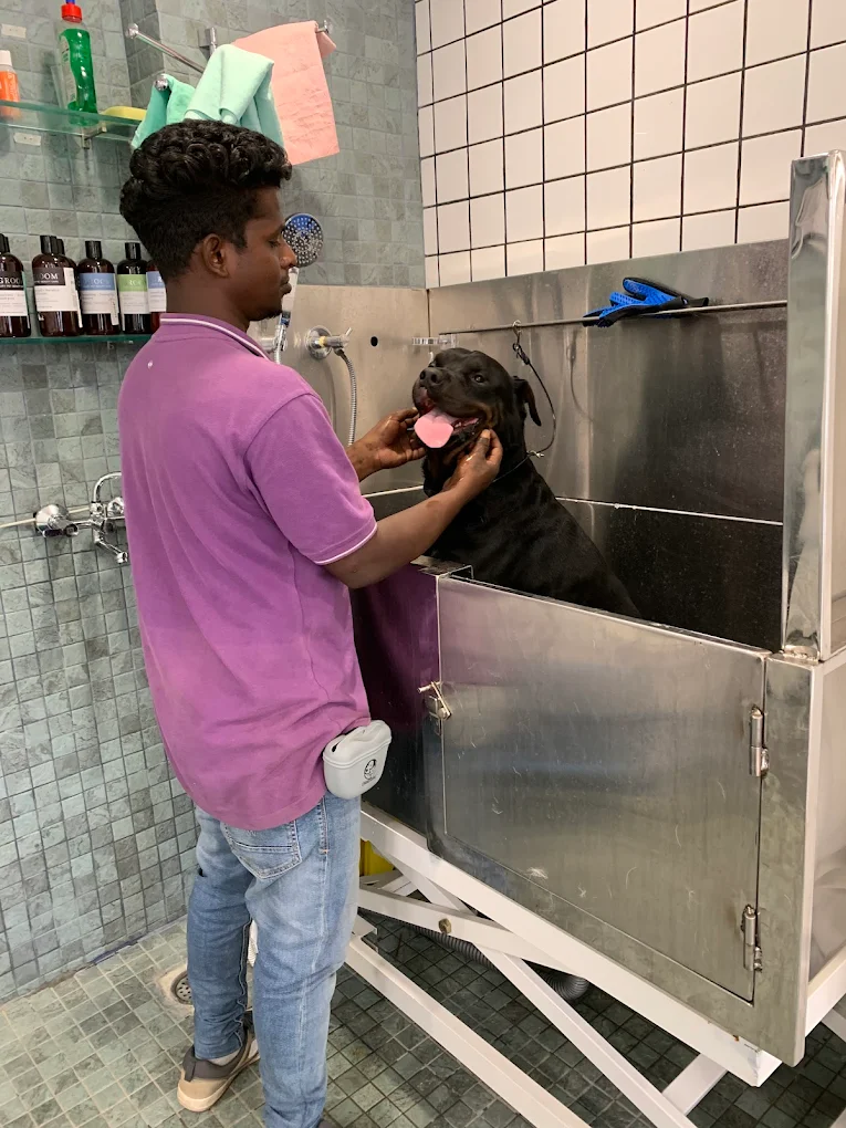 Supertails Koramangala Pet Clinic & Grooming Centre Veterinary Clinic in Koramangala, Bengaluru — Facility Photo 2