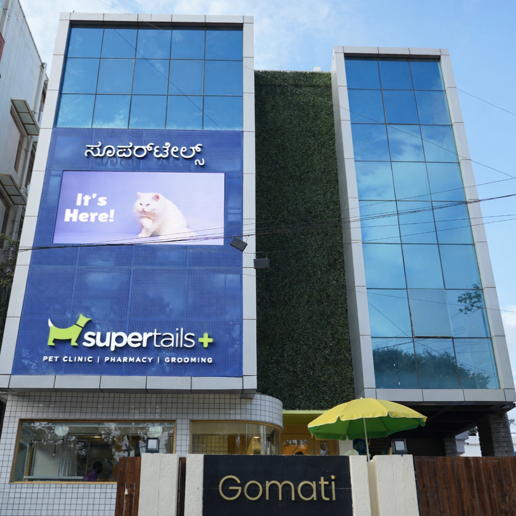 Supertails Koramangala Pet Clinic & Grooming Centre Veterinary Clinic in Koramangala, Bengaluru — Entrance/Facility Photo