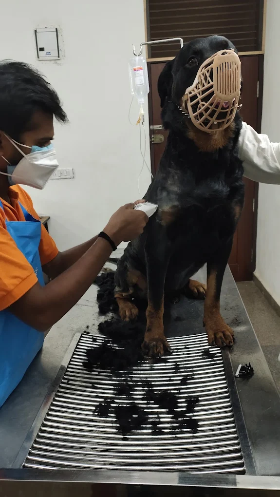 Swathi Veterinary Clinic Veterinary Clinic in Dasarahalli, Bengaluru — Facility Photo 8