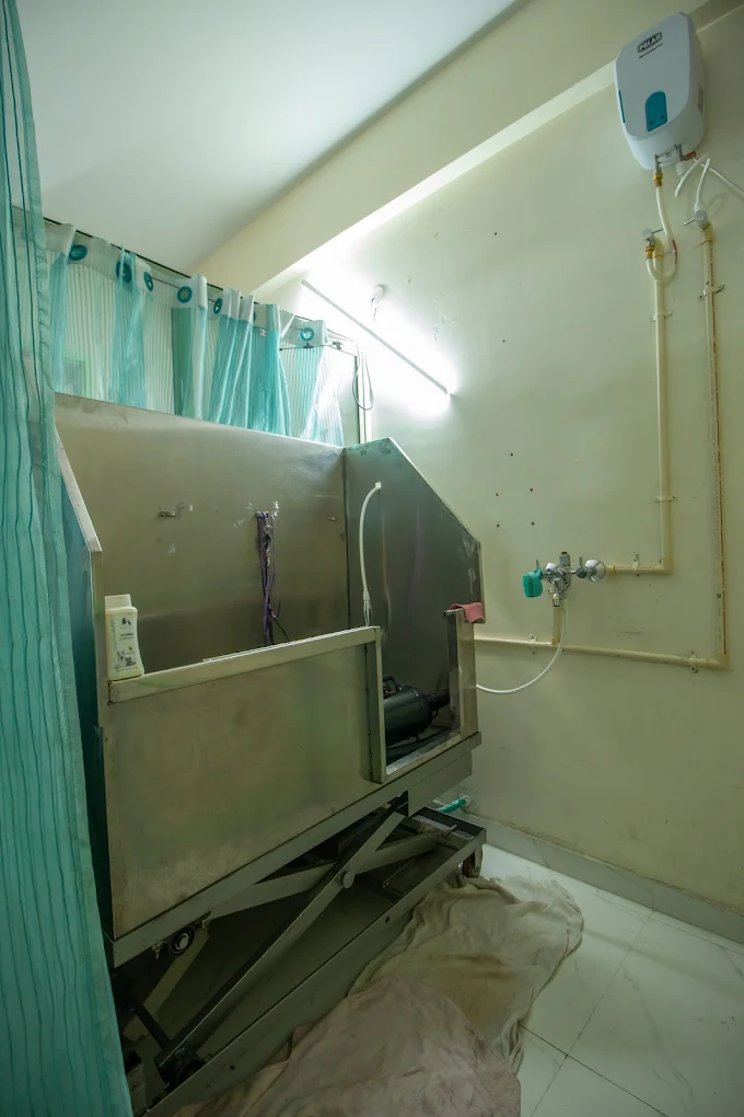 The Blue capital Pet Hospital Veterinary Clinic in Vijayanagar, Bengaluru — Facility Photo 5