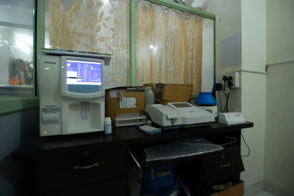 The Blue capital Pet Hospital Veterinary Clinic in Vijayanagar, Bengaluru — Facility Photo 2