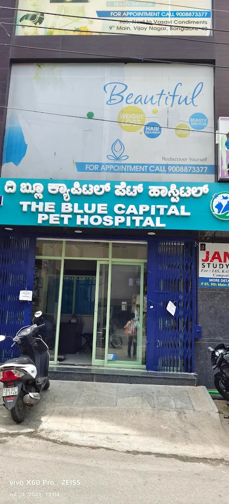 The Blue capital Pet Hospital - Pet Clinic in Vijayanagar, Bengaluru
