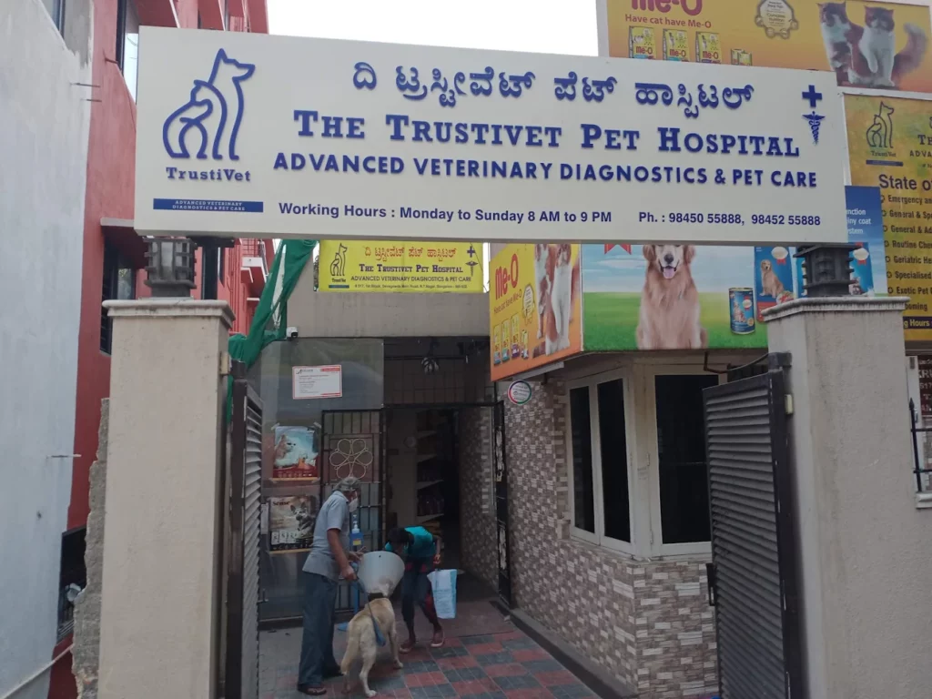 The TrustiVet Pet Hospital Veterinary Clinic in Devara Jeevanahalli, Bengaluru — Entrance/Facility Photo